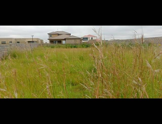 LAND FOR SALE IN VILLA LIZA